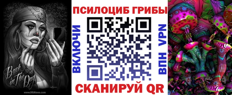 Псилоцибиновые грибы Psilocybine cubensis  Иркутск 