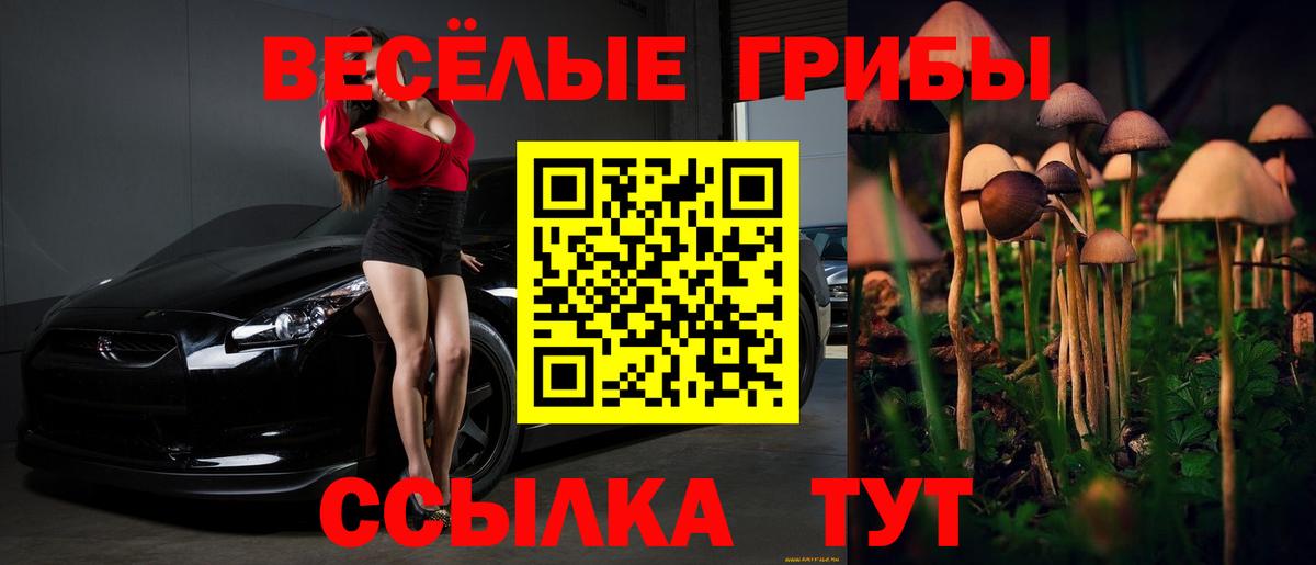 Галлюциногенные грибы Psilocybine cubensis Иркутск