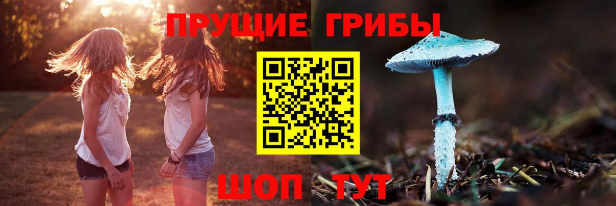 Иркутск  Галлюциногенные грибы ЛСД  Вход с VPN 
